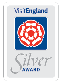 Silver Award